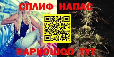 амфетамин Гай