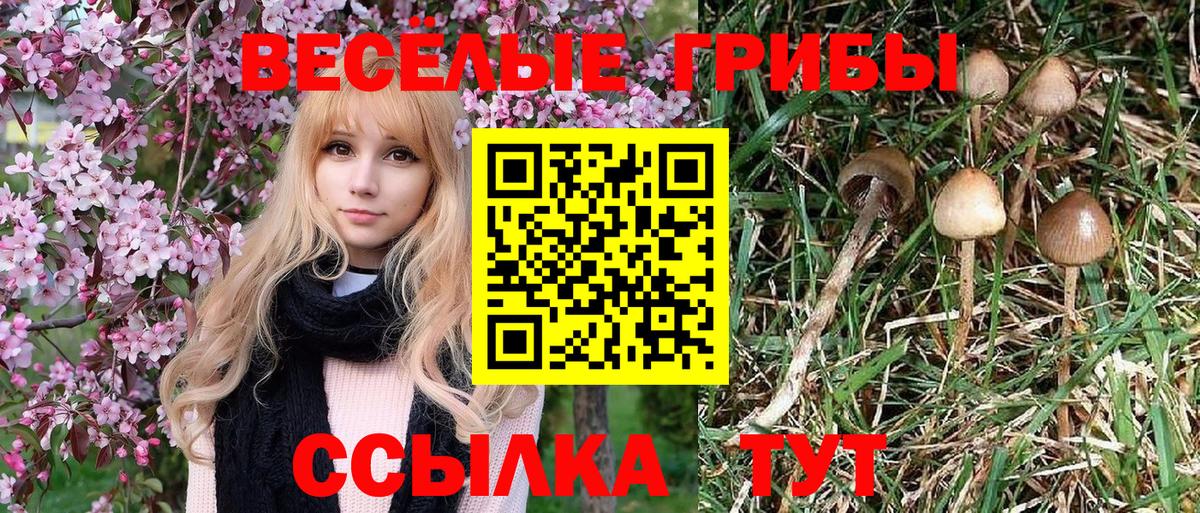 Псилоцибиновые грибы мицелий Новоуральск