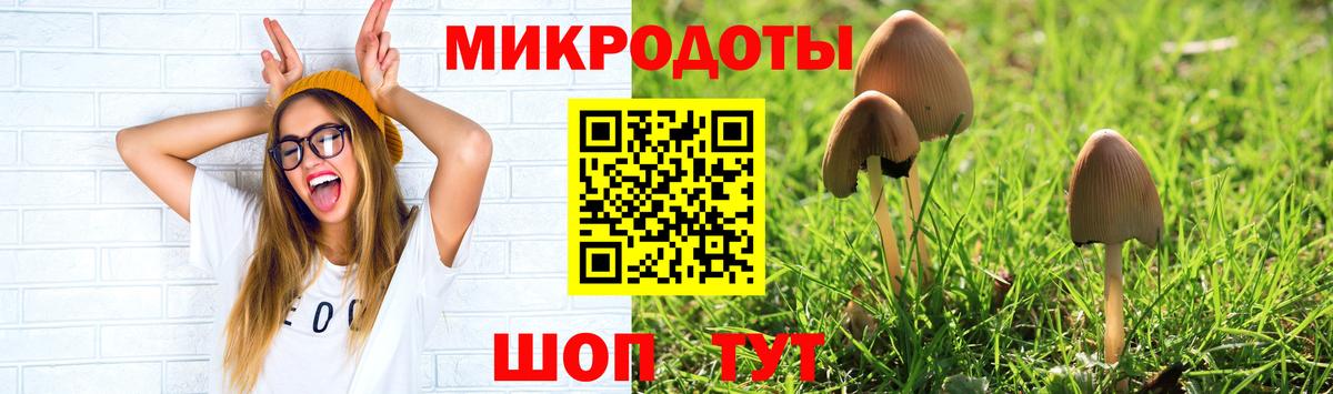Галлюциногенные грибы Magic Shrooms  Вход с VPN  цены наркотик  Новоуральск 